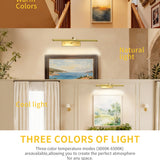 Gold Picture Light，Wireless Wall Decor Motion Sensor Lights，Art Display Light for Picture Artworking Frame Portrait，Living Room, Hallway LEPOTEC SHOP