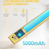 Gold Picture Light，Wireless Wall Decor Motion Sensor Lights，Art Display Light for Picture Artworking Frame Portrait，Living Room, Hallway LEPOTEC SHOP