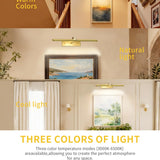 16 Inch Dimmable Picture Light, Gold LED Art Painting Wall Light with Remote Control & Timer, 3 Color Temperatures, Battery Operated Wall Sconce for Framed Pictures (Golden, 16 INCH) LEPOTEC SHOP