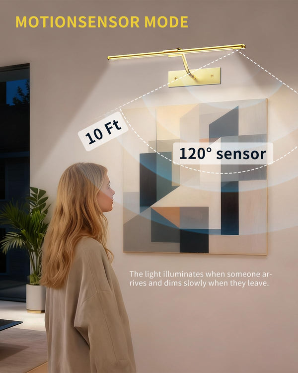 16 Inch Dimmable Picture Light, Gold LED Art Painting Wall Light with Remote Control & Timer, 3 Color Temperatures, Battery Operated Wall Sconce for Framed Pictures (Golden, 16 INCH) LEPOTEC SHOP
